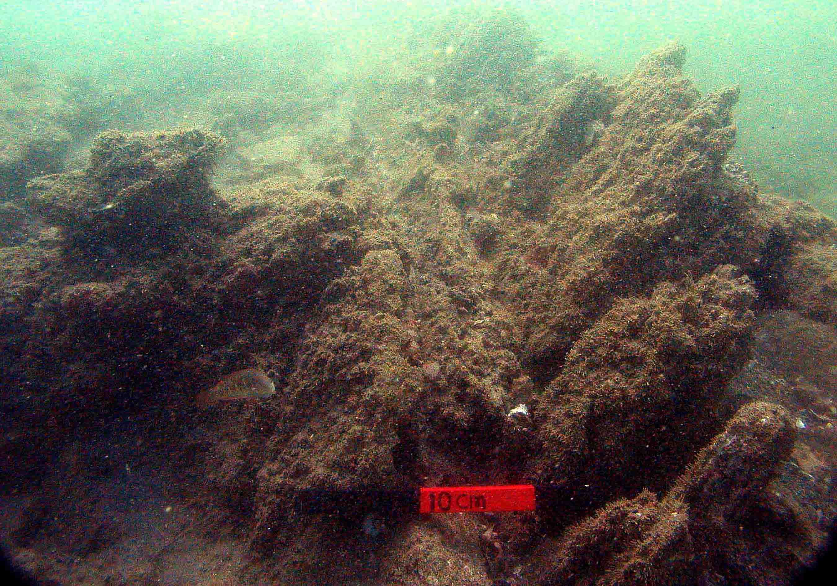 remains of the wreck